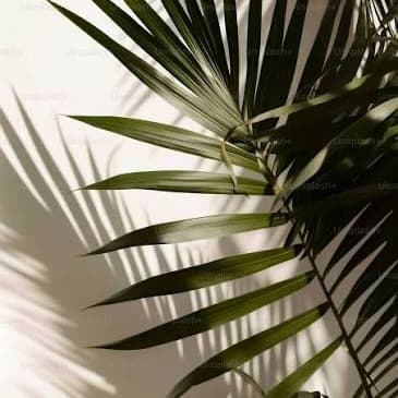 Underarm Package at Wax Therapy in Fort Worth, TX